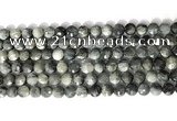 CCB765 15.5 inches 8mm faceted coin eagle eye jasper beads