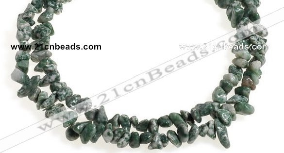 CCH29 35 inches dalmatian jasper chips gemstone beads wholesale