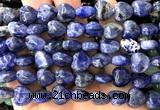 CHG168 15 inches 12mm heart sodalite gemstone beads wholesale