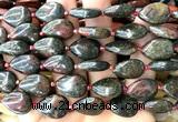 CTR531 15 inches 13*18mm flat teardrop bloodstone beads wholesale